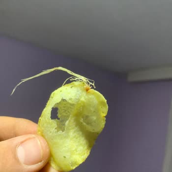 Lays Cipsleri Zararlı Ve Özensiz