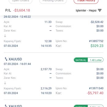 GL Yatırım Halka Arz Ve Altın İşlemlerinde Hüsran