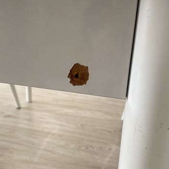 Yıldız Nakliyat (Gaziantep) Taşıma Hizmetinde Yaşanan Sorunlar Ve Şikayet Süreci