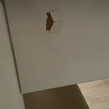 Yıldız Nakliyat (Gaziantep) Taşıma Hizmetinde Yaşanan Sorunlar Ve Şikayet Süreci