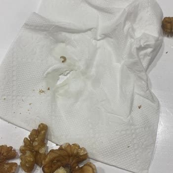 Amigo Ceviz Kurtlanması Sağlıksız Ürün