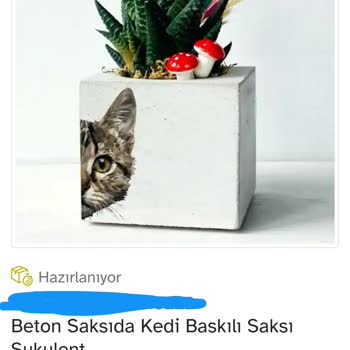 Osevio.com Müşteri Hizmetlerinden Yediğim Azarı Sevgilimden Yemedim