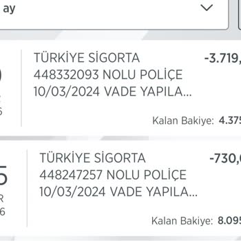 Türkiye Sigorta Poliçesi Geri İade Tutarı