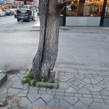 Türk Telekom Değersiz Hissettiren Kablo Çirkinliği