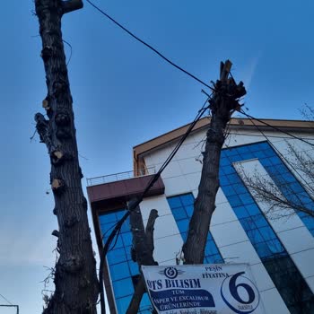 Türk Telekom Değersiz Hissettiren Kablo Çirkinliği