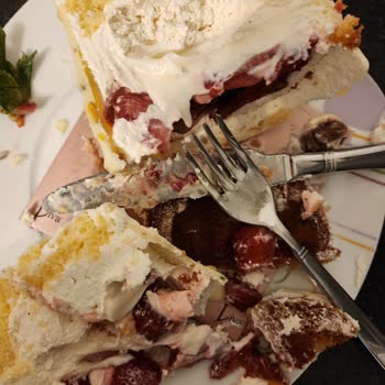 Liva Pastanesi (livashop.com) Taurus Liva Bozuk Pasta