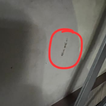 Modalife Ayıplı Ürün Geldi