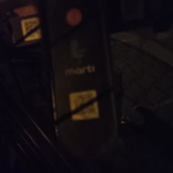 Otomatik Kapıya Martı Bağlanmış