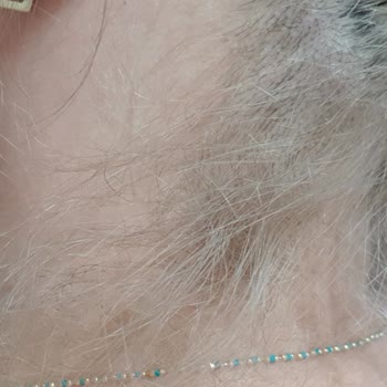 Loreal Elseve Mor Şampuan