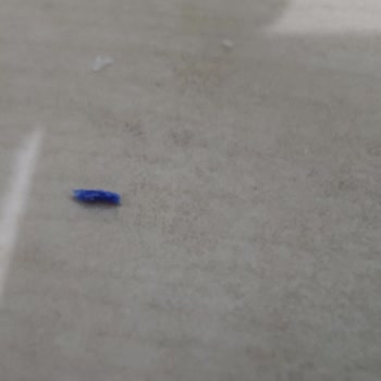 Onur Süt 10süt Taze Kaşar İçinden Çıkan Mavi Plastik Parça