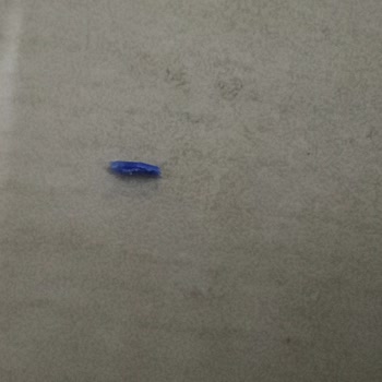 Onur Süt 10süt Taze Kaşar İçinden Çıkan Mavi Plastik Parça