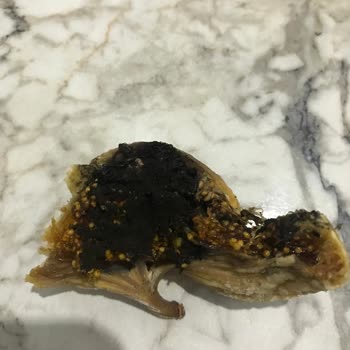 Malatya Pazarı Palancı Kuruyemiş Malatya Pazarı Çürük Ürün Gönderimi