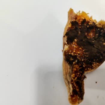 Malatya Pazarı Palancı Kuruyemiş Malatya Pazarı Çürük Ürün Gönderimi