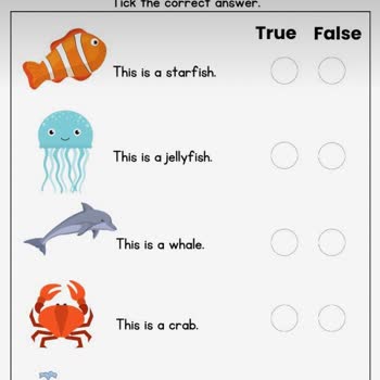 LC Waikiki Çark Kuponu Kullanamıyorum.