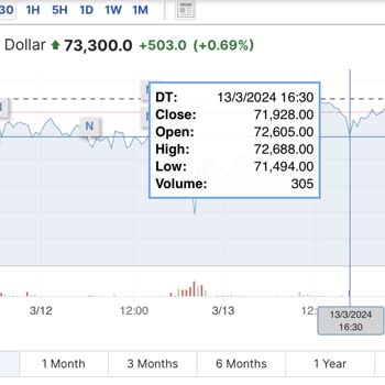 BTCTURK Te Şart Yerine Gelmeden Satış İşlemi Alt Fiyattan Gerçekleşti!