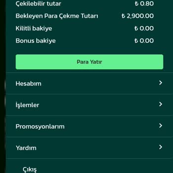 İntobet Para Çekme Talebinde Bulundum Onaylandı Gelmedi