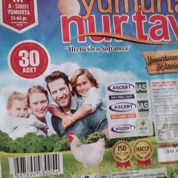 Nurtav Yumurta Yumurta Gramajı Hayal Kırıklığı