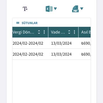 Gelir İdaresi Başkanlığı Çift Ceza Uygulanıyor