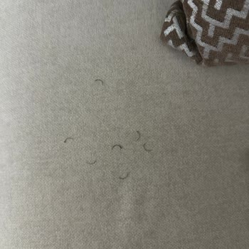 Aymira Koçaklı Yaşam Merkezi A***** K****** Bağcılar Memnuniyetsizliği