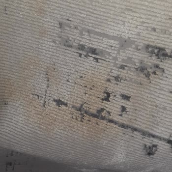 Festival Halı Festival Bianca Serisi Leke Çıkmıyor