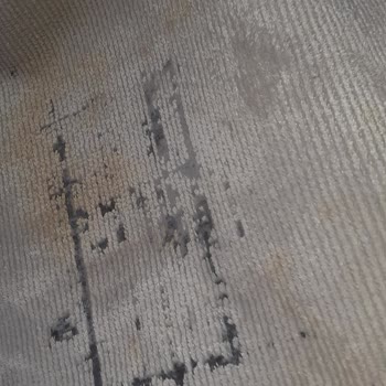 Festival Halı Festival Bianca Serisi Leke Çıkmıyor