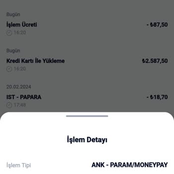 MoneyPay Hesabıma Tutar Geçmedi