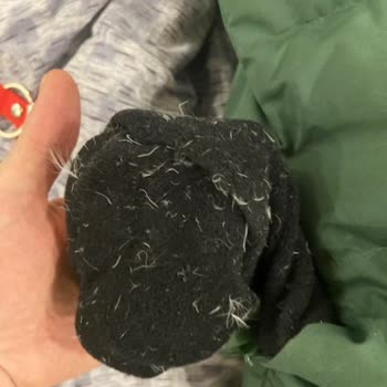 Lacoste Kaz Tüyü Mont Sorunu