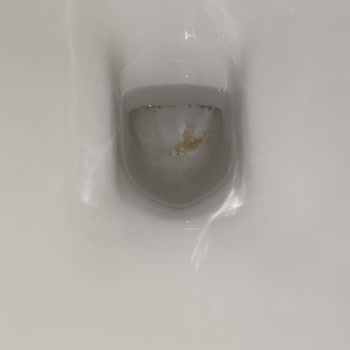 Vitra Klozet Pislik Tutmaktadır