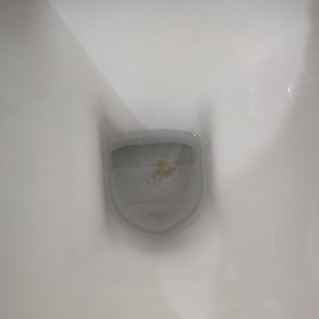 Vitra Klozet Pislik Tutmaktadır