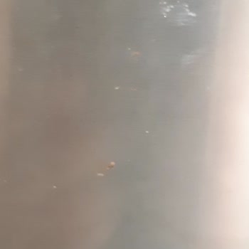 Bosch Buzdolabı Kapakları Paslanması