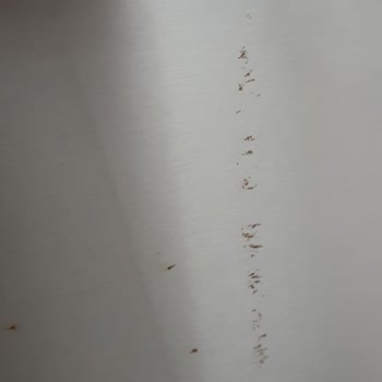 Bosch Buzdolabı Kapakları Paslanması