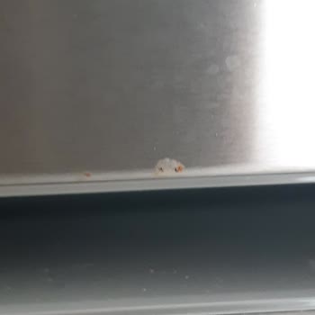 Bosch Buzdolabı Kapakları Paslanması