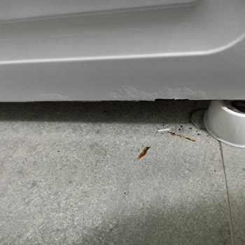 Altus AL8100-D Çamaşır Makinesi Gövde Paslanma-Küflenme Sorunu