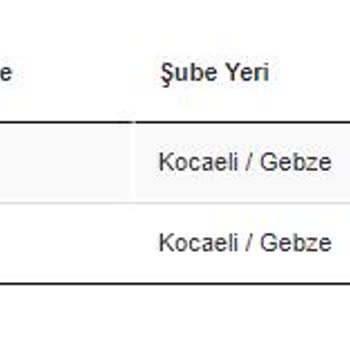 E-Bebek.com Ve Scotty Kargo