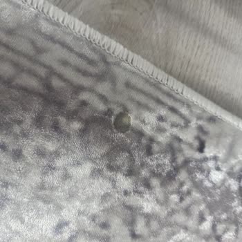 Pamuk Home Lux (İnstagram) Halı Yanık Geldi...