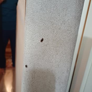 İstikbal Baza Başlığı Hakkında