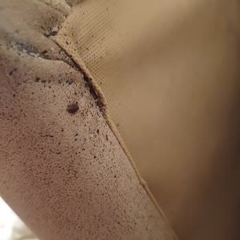 İstikbal Baza Başlığı Hakkında