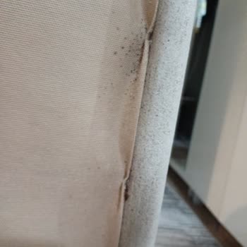 İstikbal Baza Başlığı Hakkında