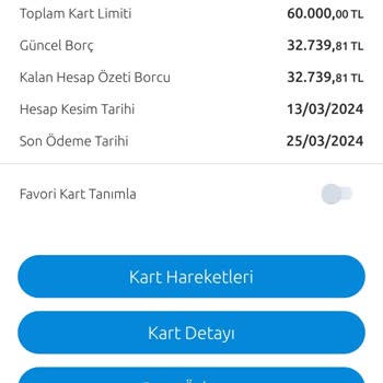Yapı Kredi Ortak Limitli Kart