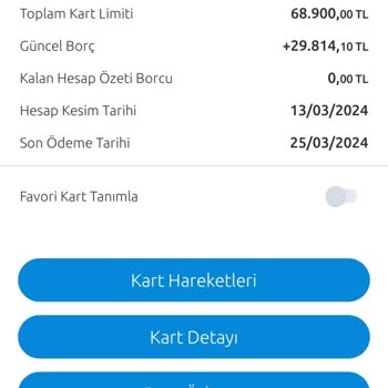 Yapı Kredi Ortak Limitli Kart