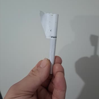 Philip Morris Parliament Sigara Şikayeti