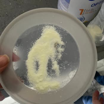 Sma Mamadan Kurt Çıktı