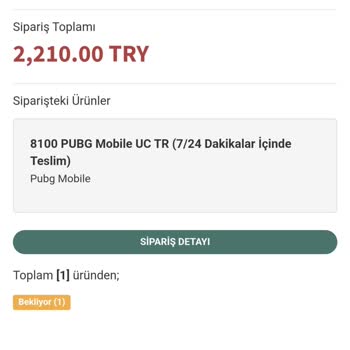 enucuzpubg.com Siparişimi Yüklemedi