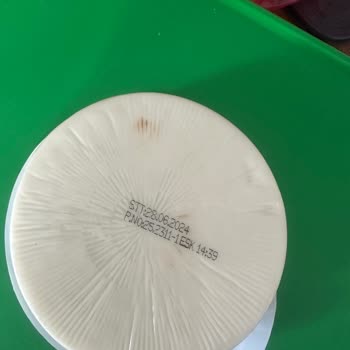 Pınar Et ve Süt Tost Peynirinde Küflenme Sorunu