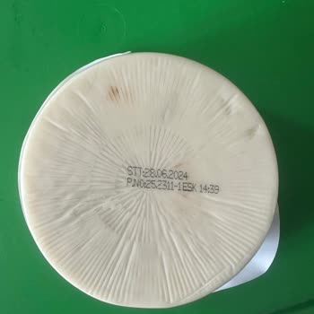 Pınar Et ve Süt Tost Peynirinde Küflenme Sorunu