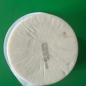 Pınar Et ve Süt Tost Peynirinde Küflenme Sorunu