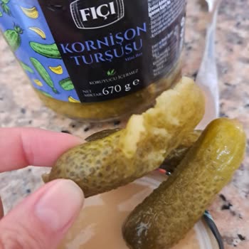 BİM Fıçı Kornişon Turşusu Bozuk