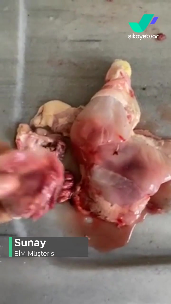 BİM Tavuk Kötü, Market Görevlisinden Şikayetçiyim! videonun kapak resmi