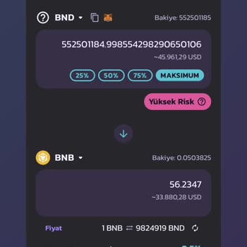Web3 Cüzdan Üzerinden Alınan Coini Satamıyorum