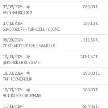 Enpara Otomatik Ödeme Talimatı Fiyaskosu!